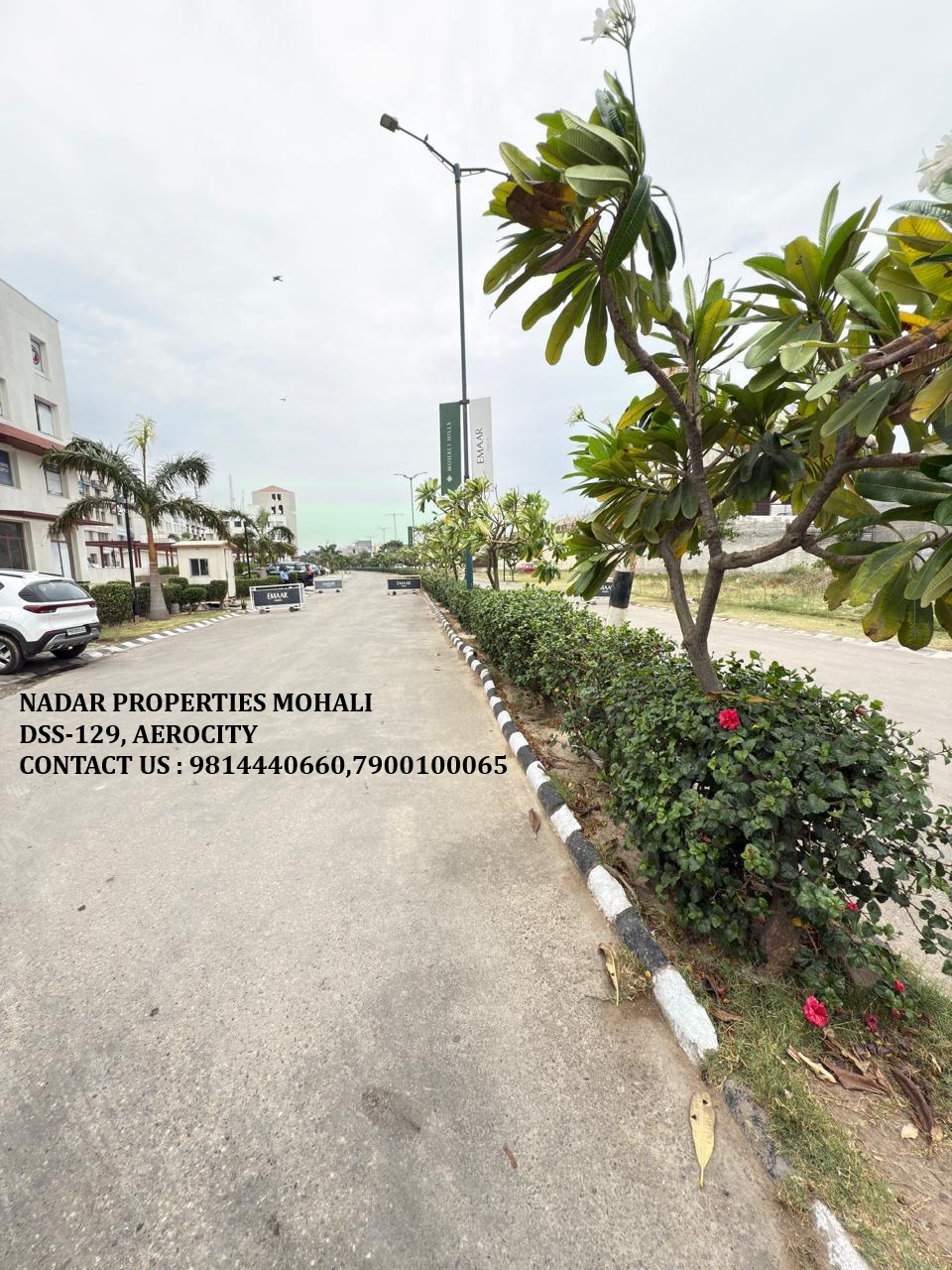 residential plot in sector 105 mohali EMAAR, NADAR PROPERTIES MOHALI DSS-129, AEROCITY